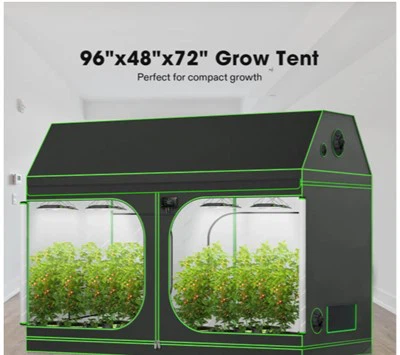 גג צומח אוהל