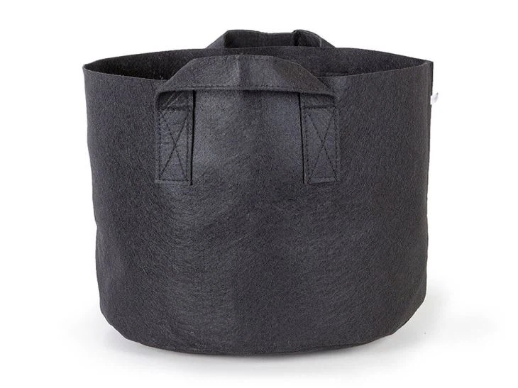 60gallon buleberry felt grow pots