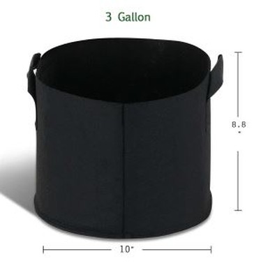 תיק גידול ישיר במפעל 5 ליטר עם ידית