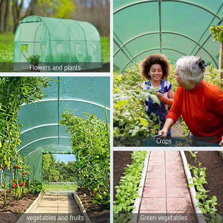 Plant Growth Greenhouse Tunnel Greenhouse